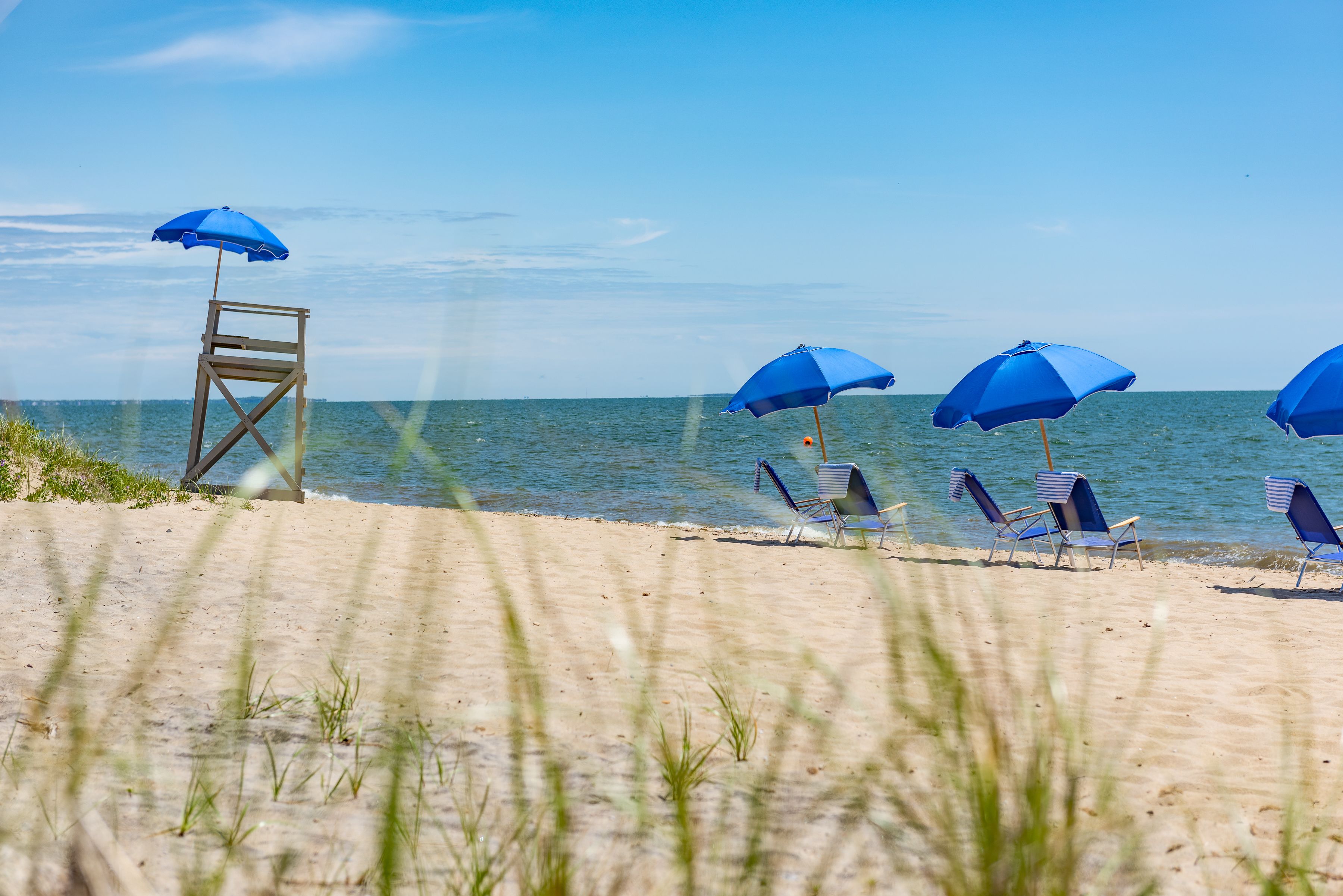 Une plage avec des parasols bleus et des chaises longues.