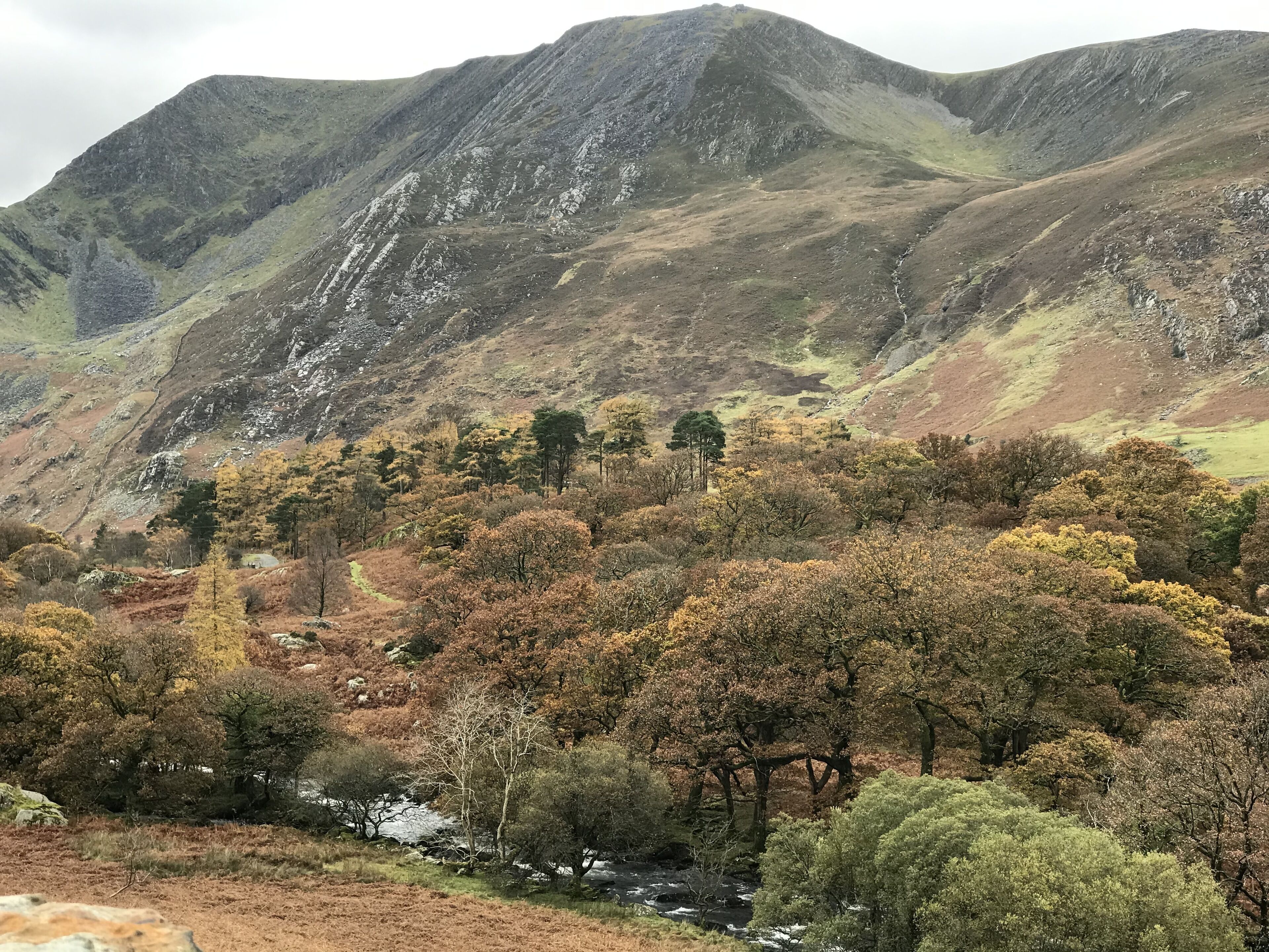 Photo - Llandudno Hostel