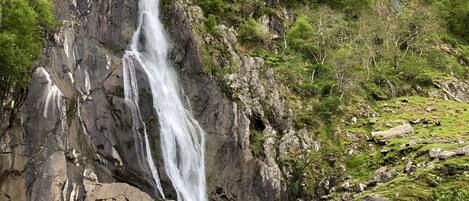 Une cascade se déversant le long d’une falaise rocheuse, entourée d’une végétation luxuriante.