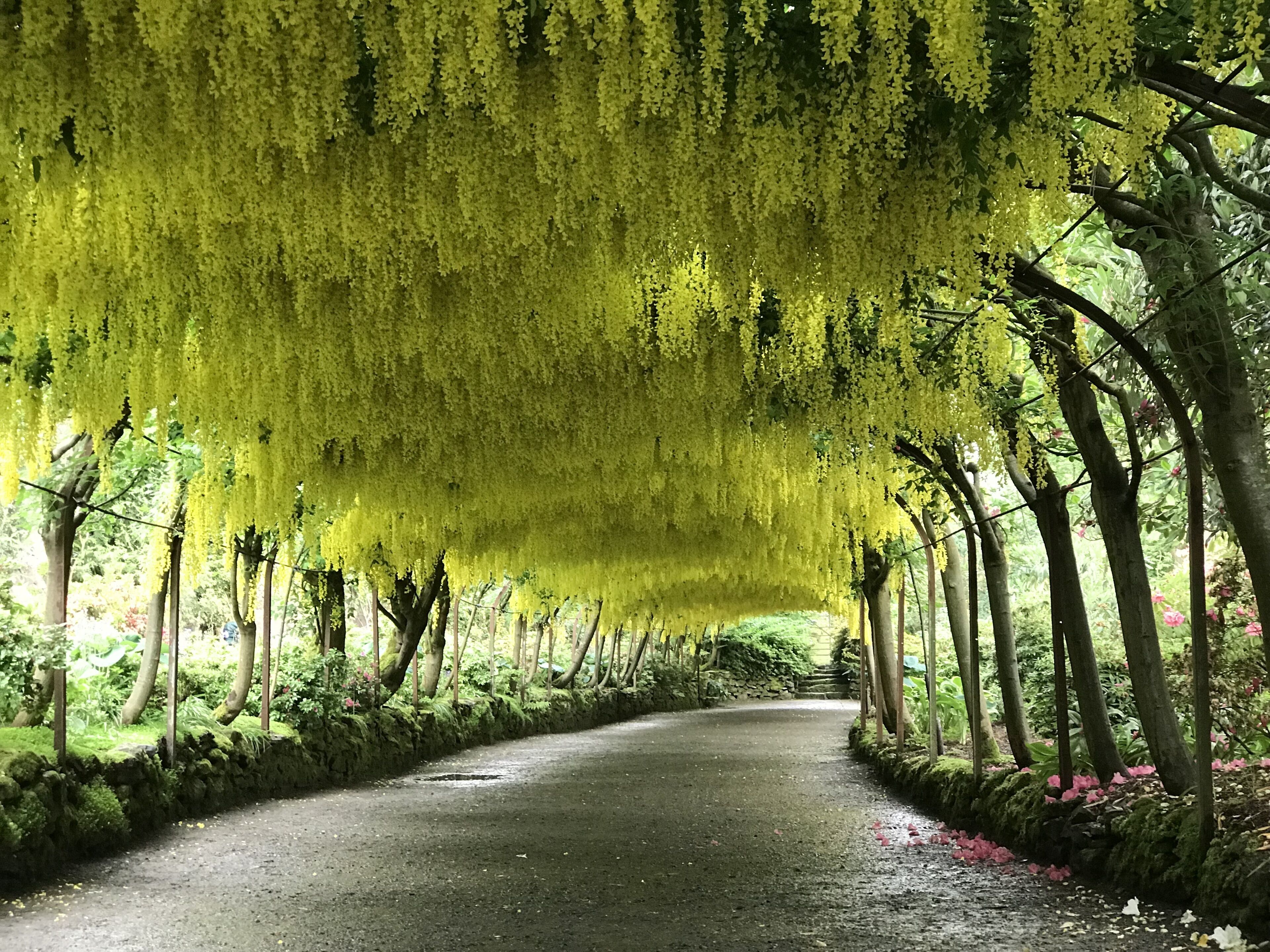 Photo - Llandudno Hostel