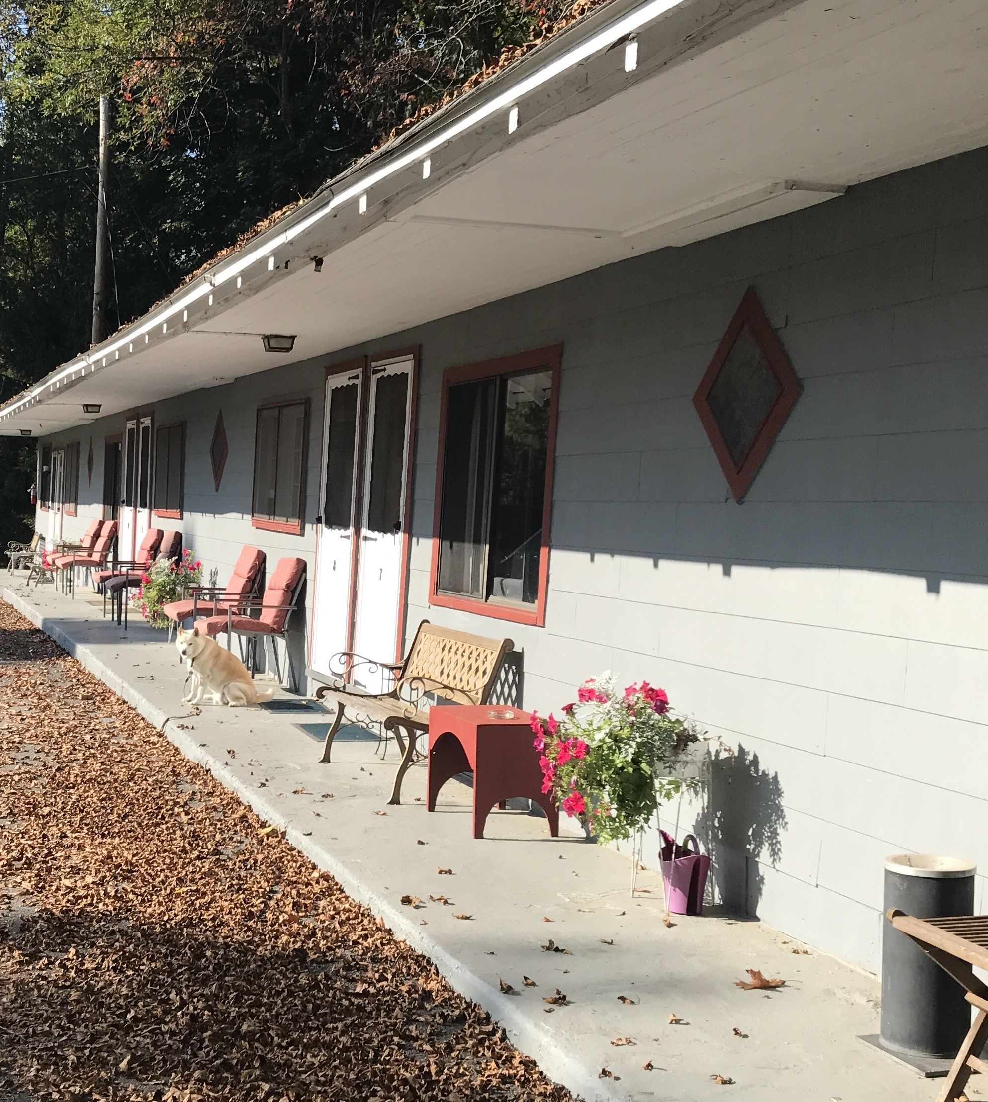 A row of single-story cabins with individual porches, each with a bench and a potted plant.