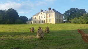 A large, historic building with a symmetrical facade and multiple chimneys, surrounded by a grassy field. - Kelly House (Lifton)