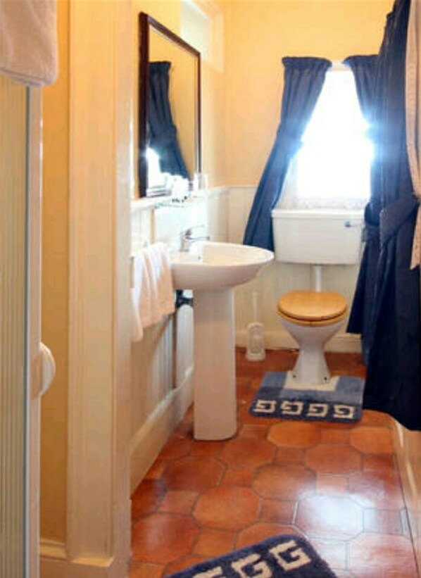 A bathroom with a white sink, a toilet, and a bathtub. There is a blue and white rug on the floor. - Charlemont House Moy (Dungannon)