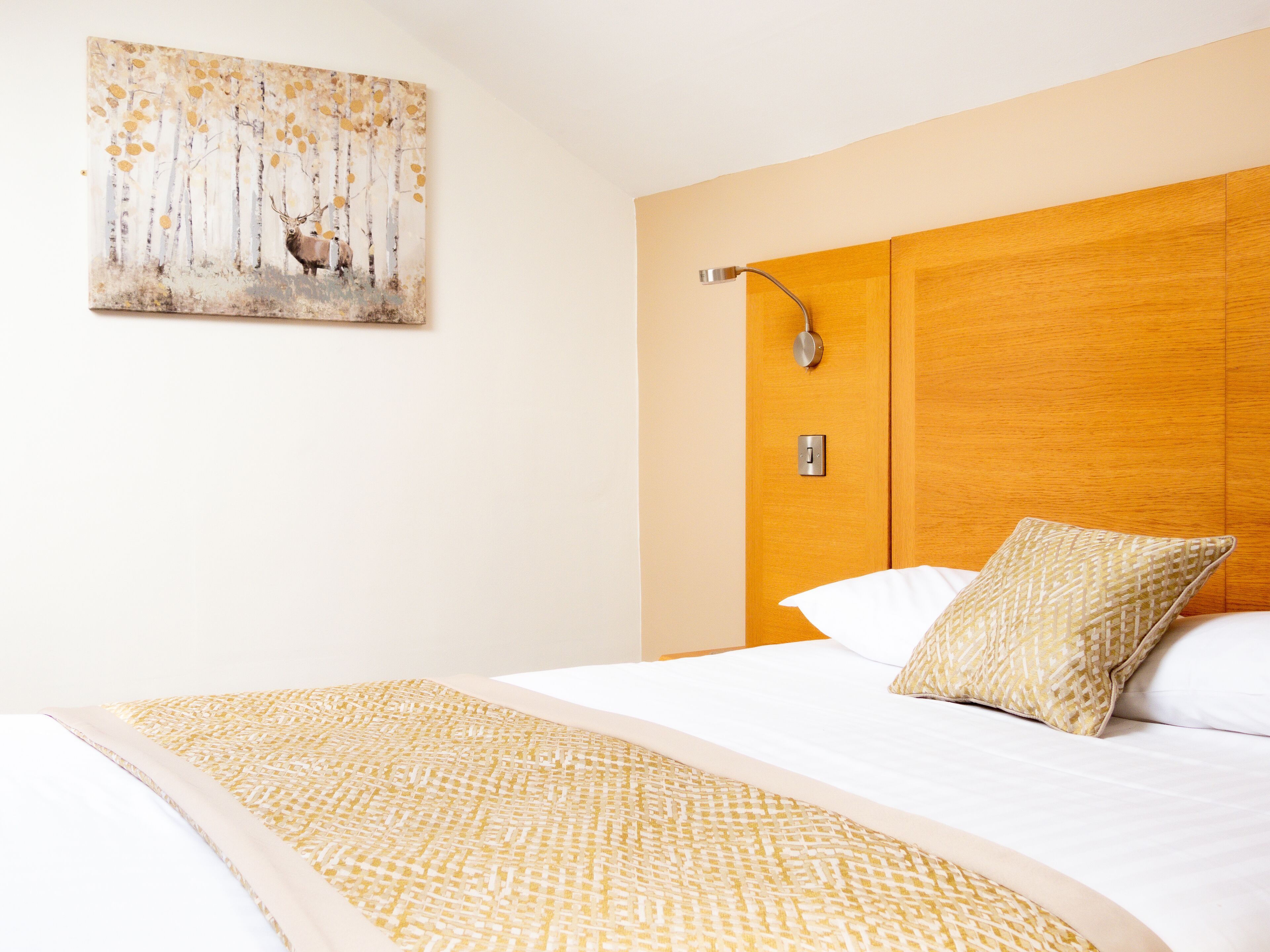 Habitación de hotel con una cama grande, cabecera de madera, luz de pared y un cuadro de un paisaje forestal.