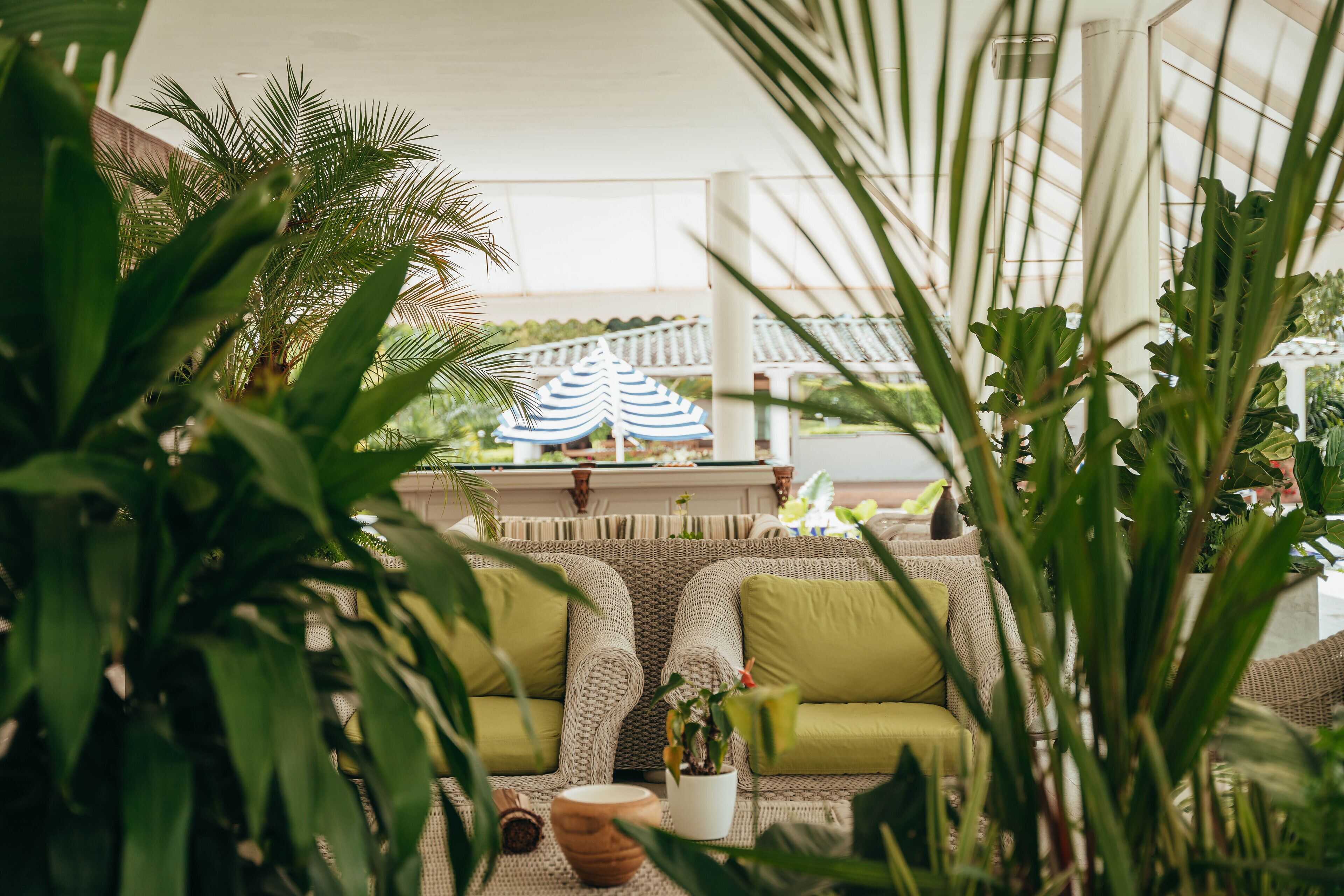 A cozy indoor seating area with a woven sofa and a potted plant.