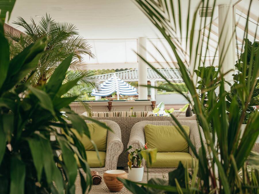 A cozy indoor seating area with a woven sofa and a potted plant.