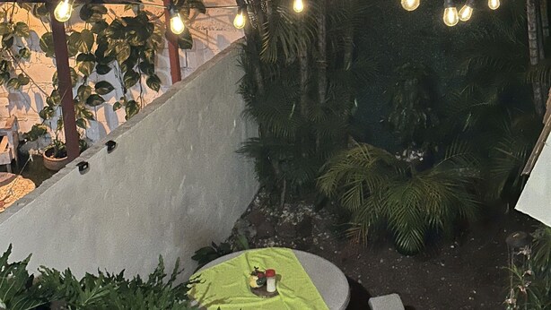 Un espacio al aire libre con una mesa redonda y bancos, rodeado de exuberante vegetación y palmeras.