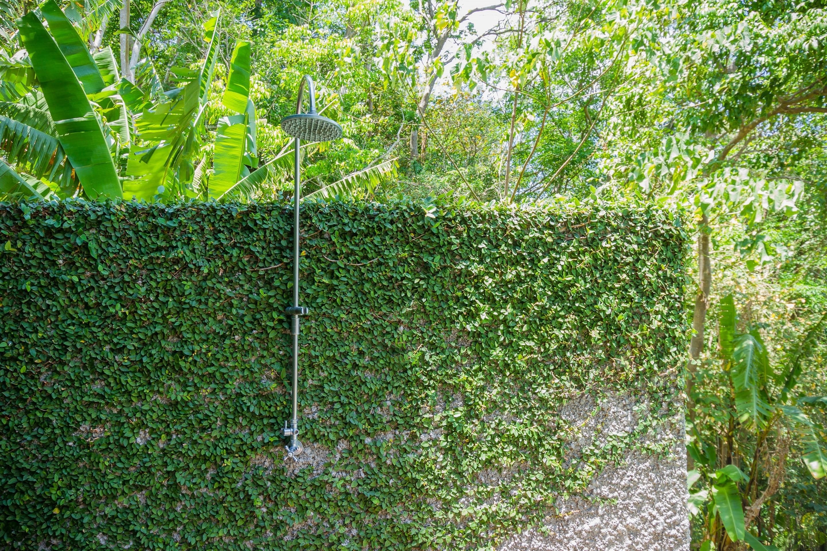 A lush garden with a metal structure, dense foliage, and a pathway.