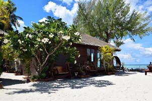 A beachside wooden structure with a thatched roof, surrounded by lush greenery and white flowers.