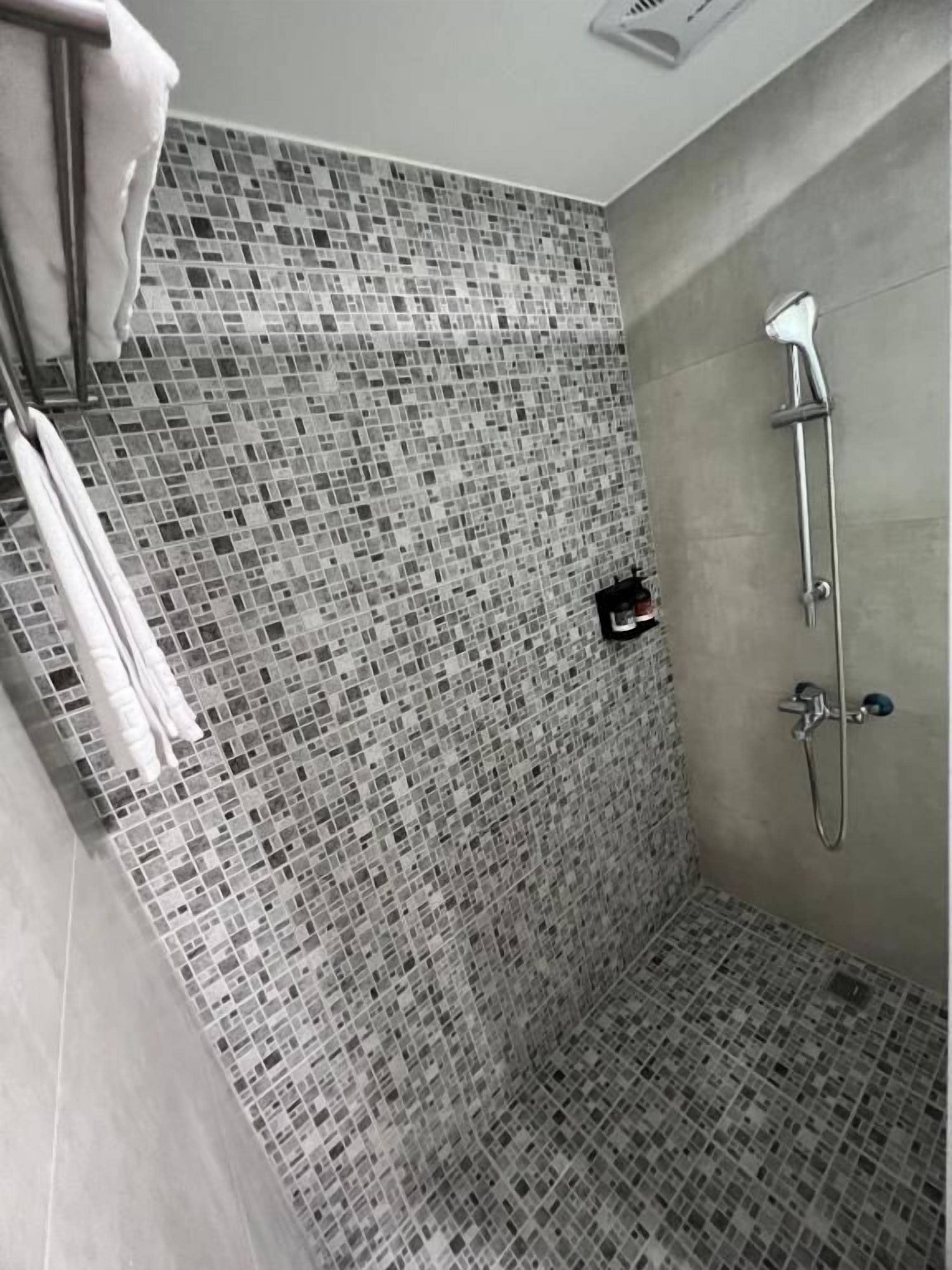 A shower area with mosaic tile walls and a handheld showerhead.