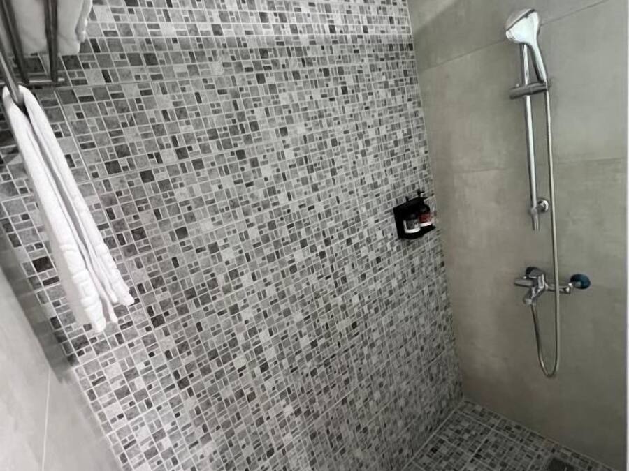A shower area with mosaic tile walls and a handheld showerhead.