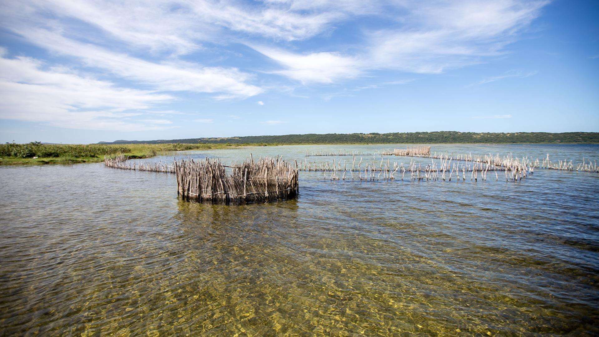Un lac paisible aux eaux limpides, entouré de prairies et bordé par une colline lointaine.