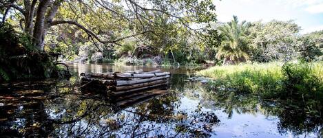 A calm river with a wooden dock extending into the water, surrounded by lush greenery and trees.