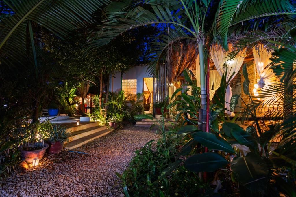 A well-lit garden area with a variety of plants and a pathway leading to a building.