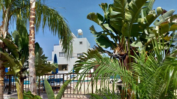 Un edificio blanco con cúpula, rodeado de plantas tropicales y una zona de piscina.