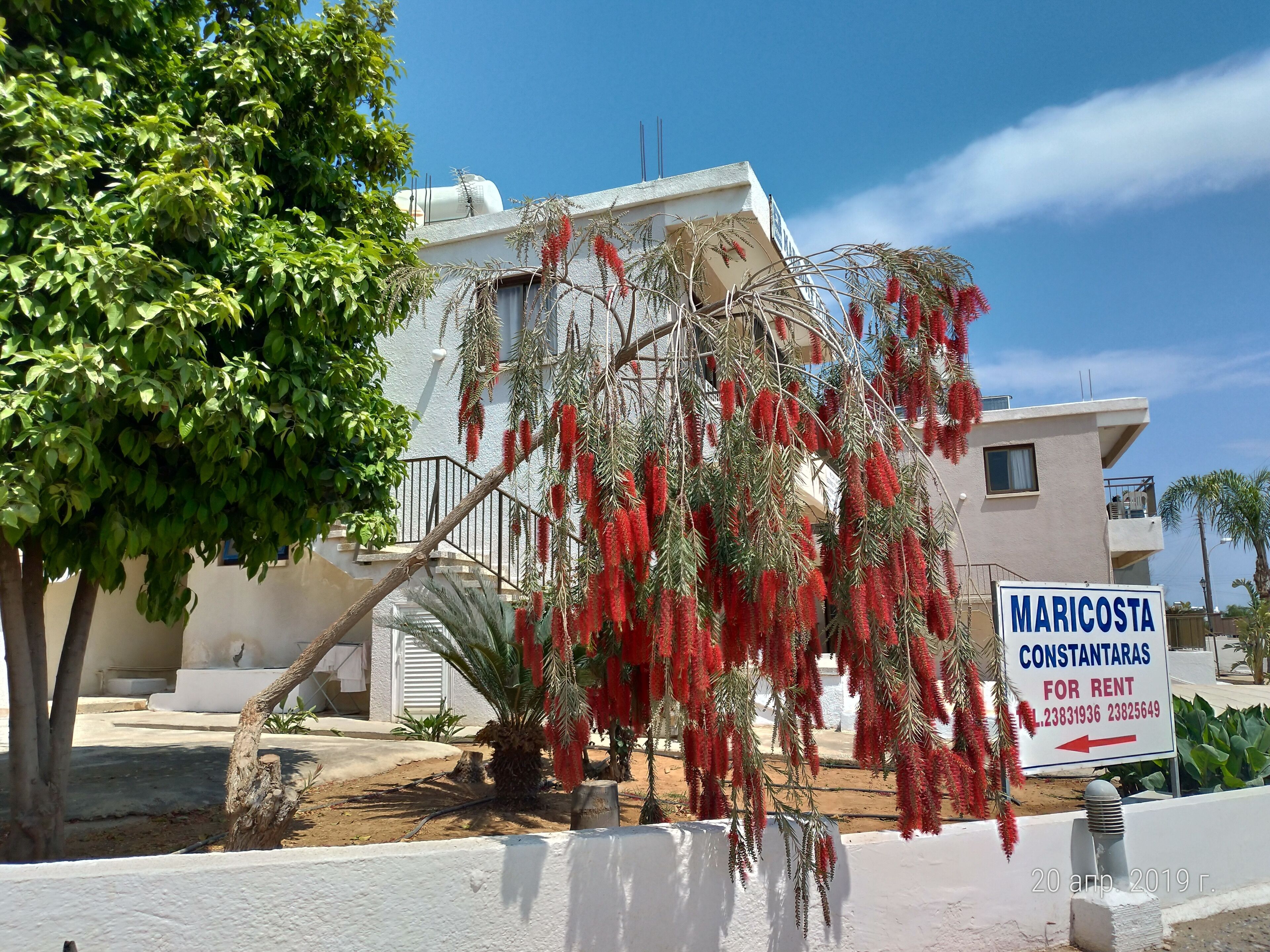 Photo - Maricosta Apartments