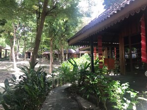 Jardim