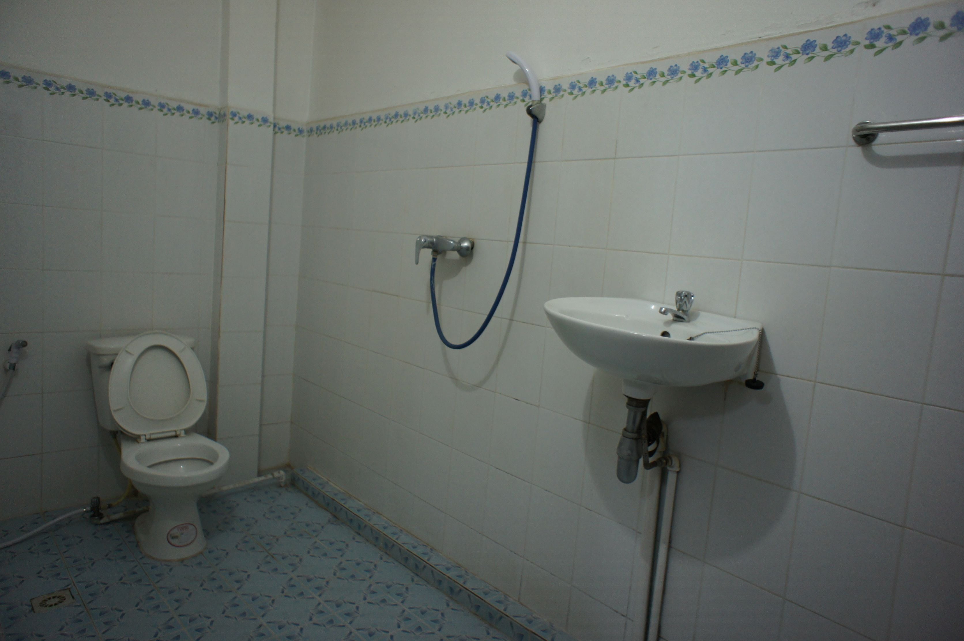 Une salle de bain avec des toilettes, un lavabo et une douche.
