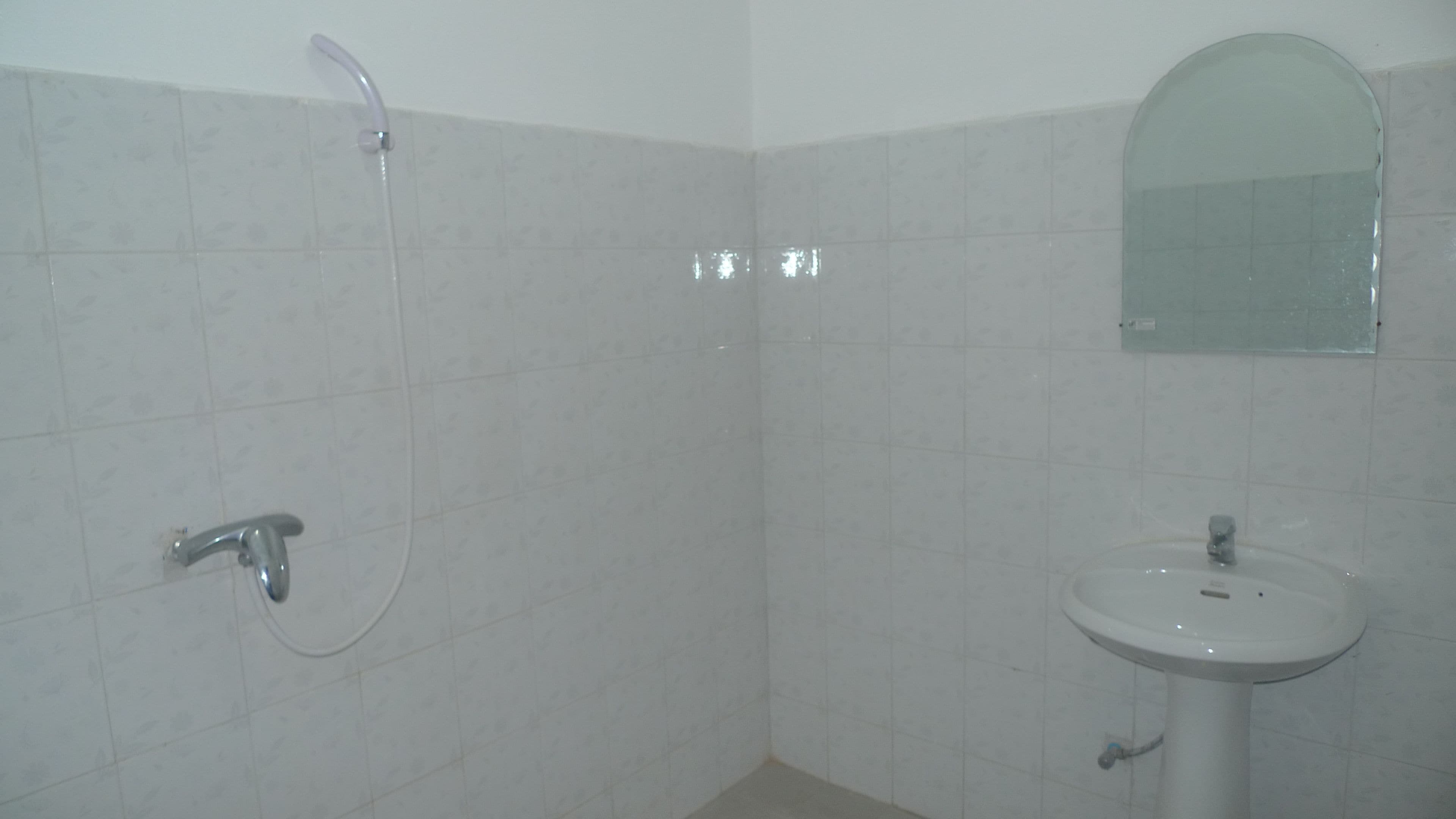 Een badkamer met een douche, een wastafel en een spiegel.