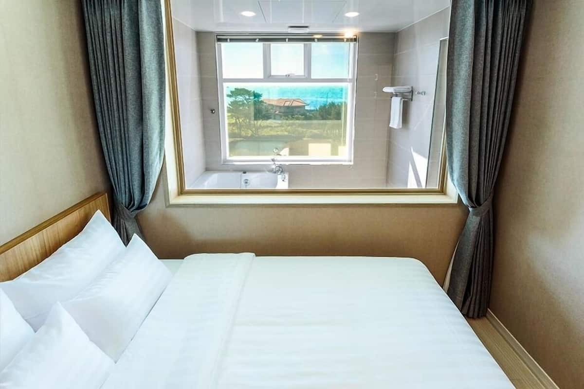 Een hotelkamer met een bed, een raam met uitzicht en een douche.