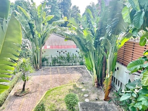 A courtyard with a paved walkway, surrounded by large banana plants and other greenery, leading to a building with a red-tiled roof. - Harmony Bed and Bakery (Koh Lipe)