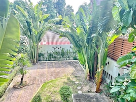 Un patio con un sendero empedrado, rodeado de grandes plantas de plátano y otra vegetación, que conduce a un edificio con techo de tejas rojas.