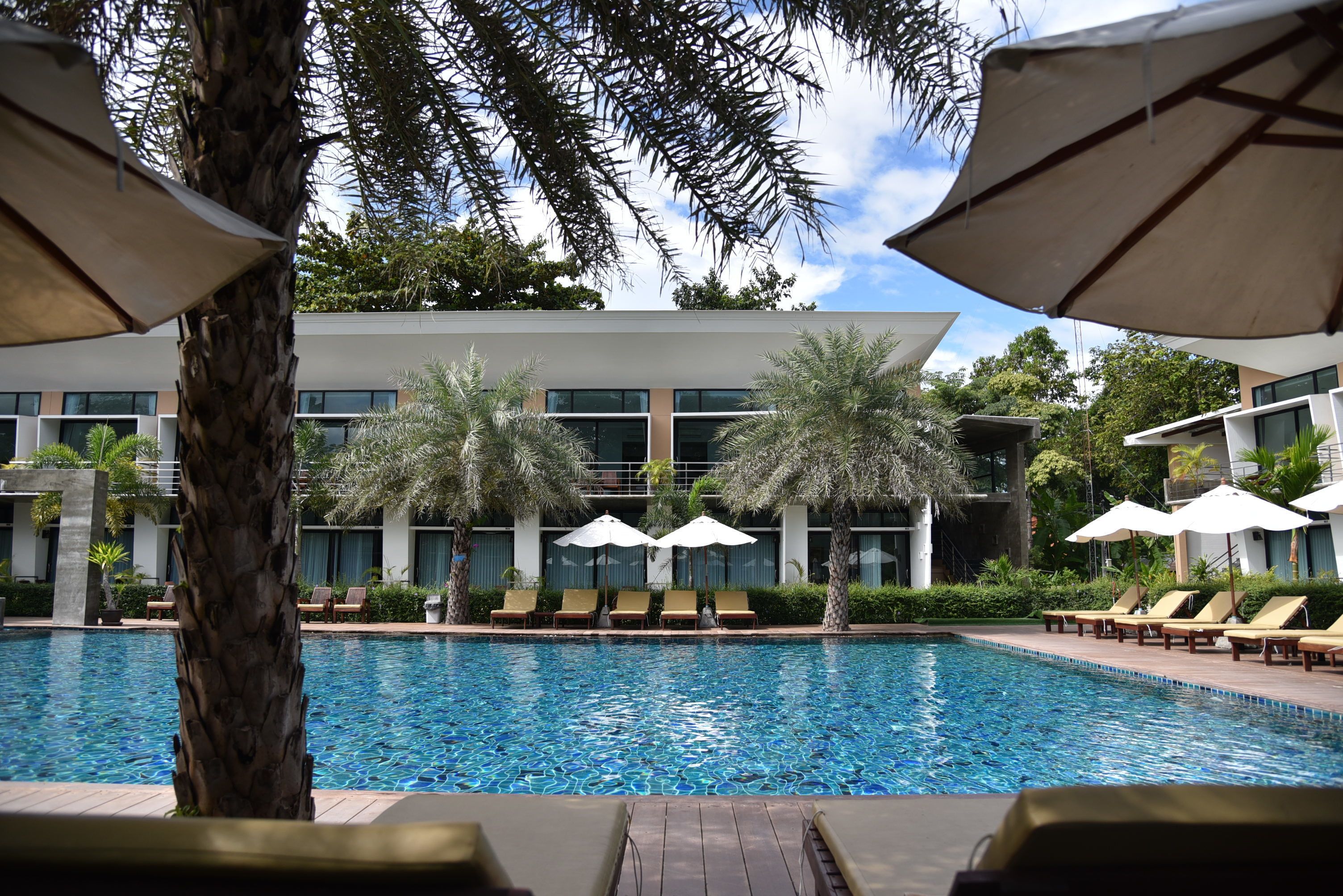 Outdoor pool, pool loungers