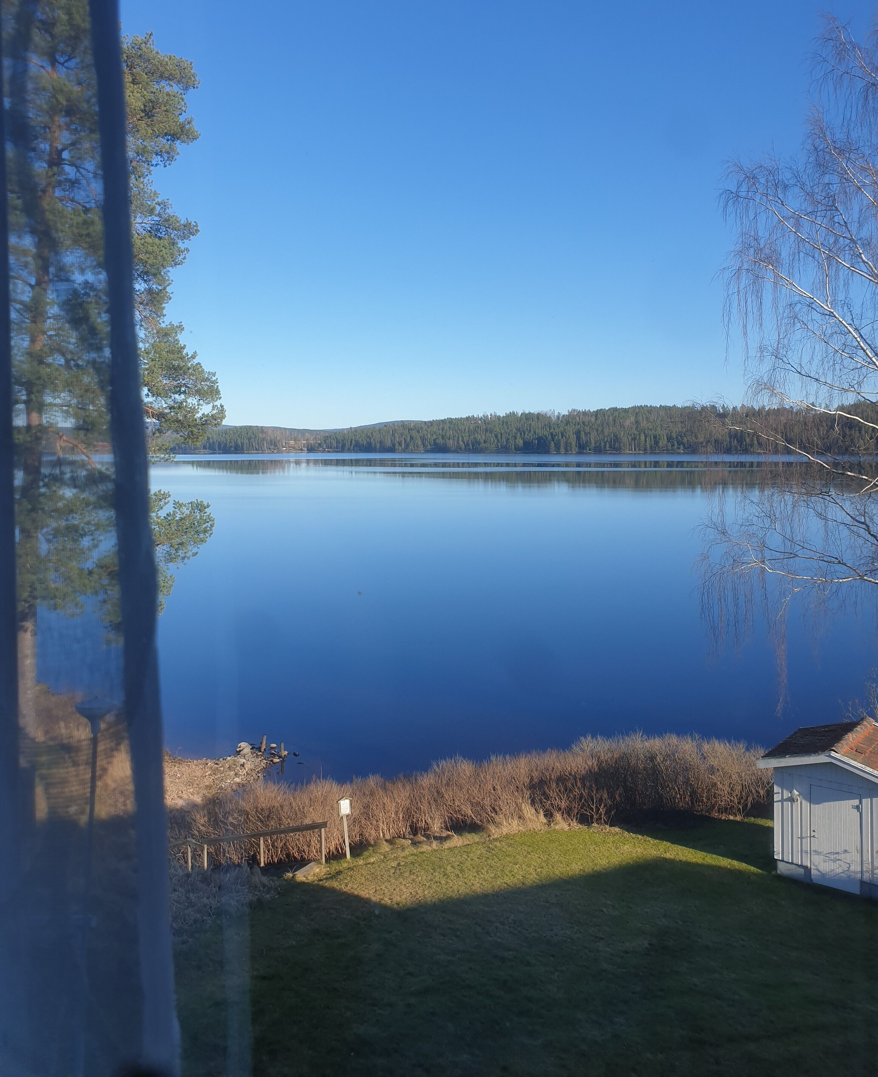 Un lac paisible aux eaux claires, sous un ciel dégagé, entouré d’arbres et bordé d’un petit abri.