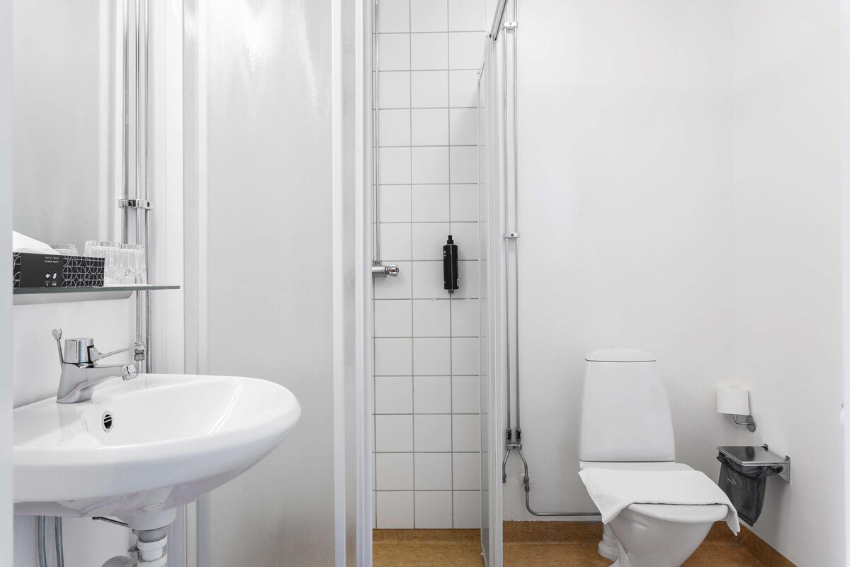 Ett badrum med ett vitt handfat, en toalett och en dusch.