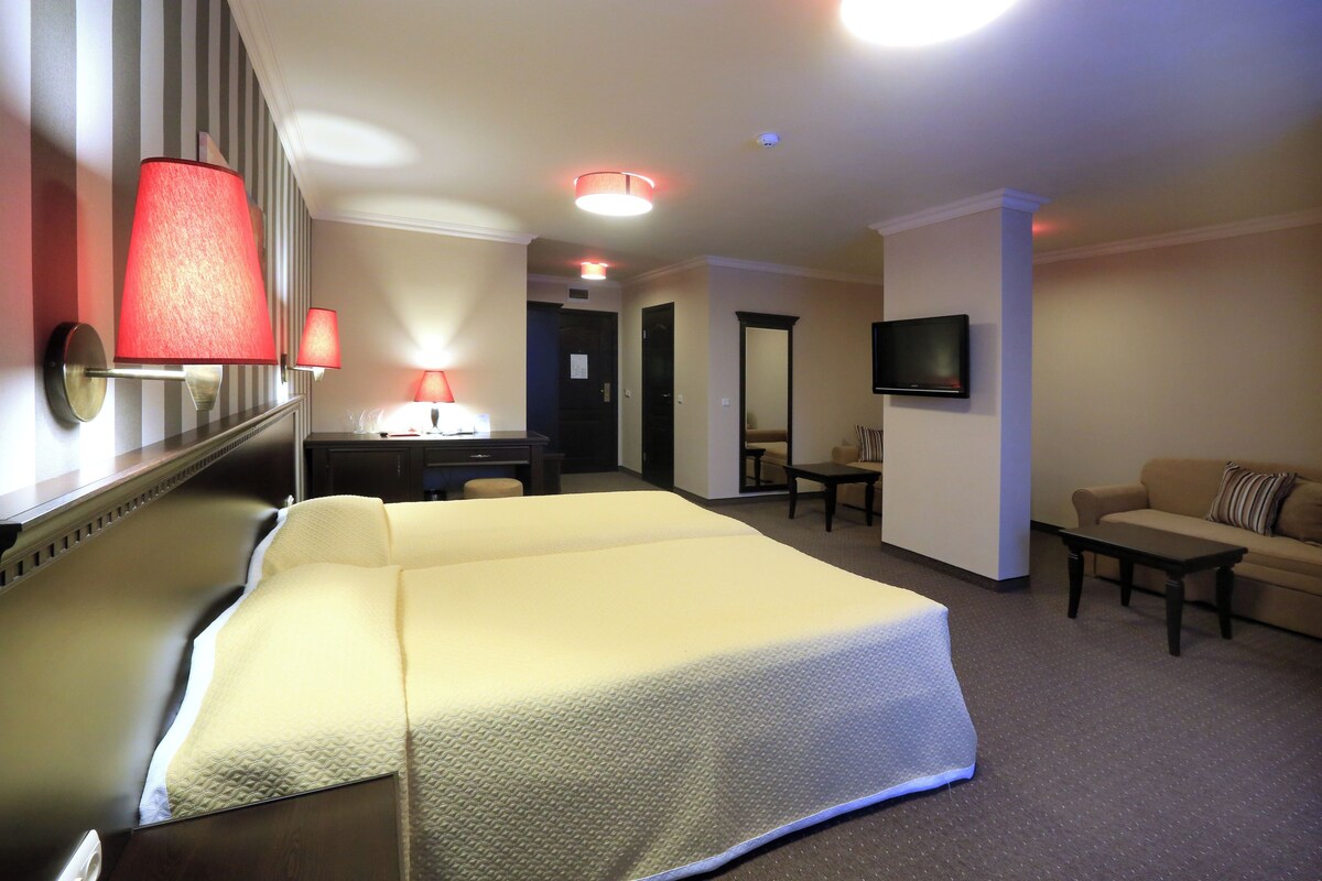 A hotel room with a large bed, a desk with a chair, a sofa, a television, and a mirror.
