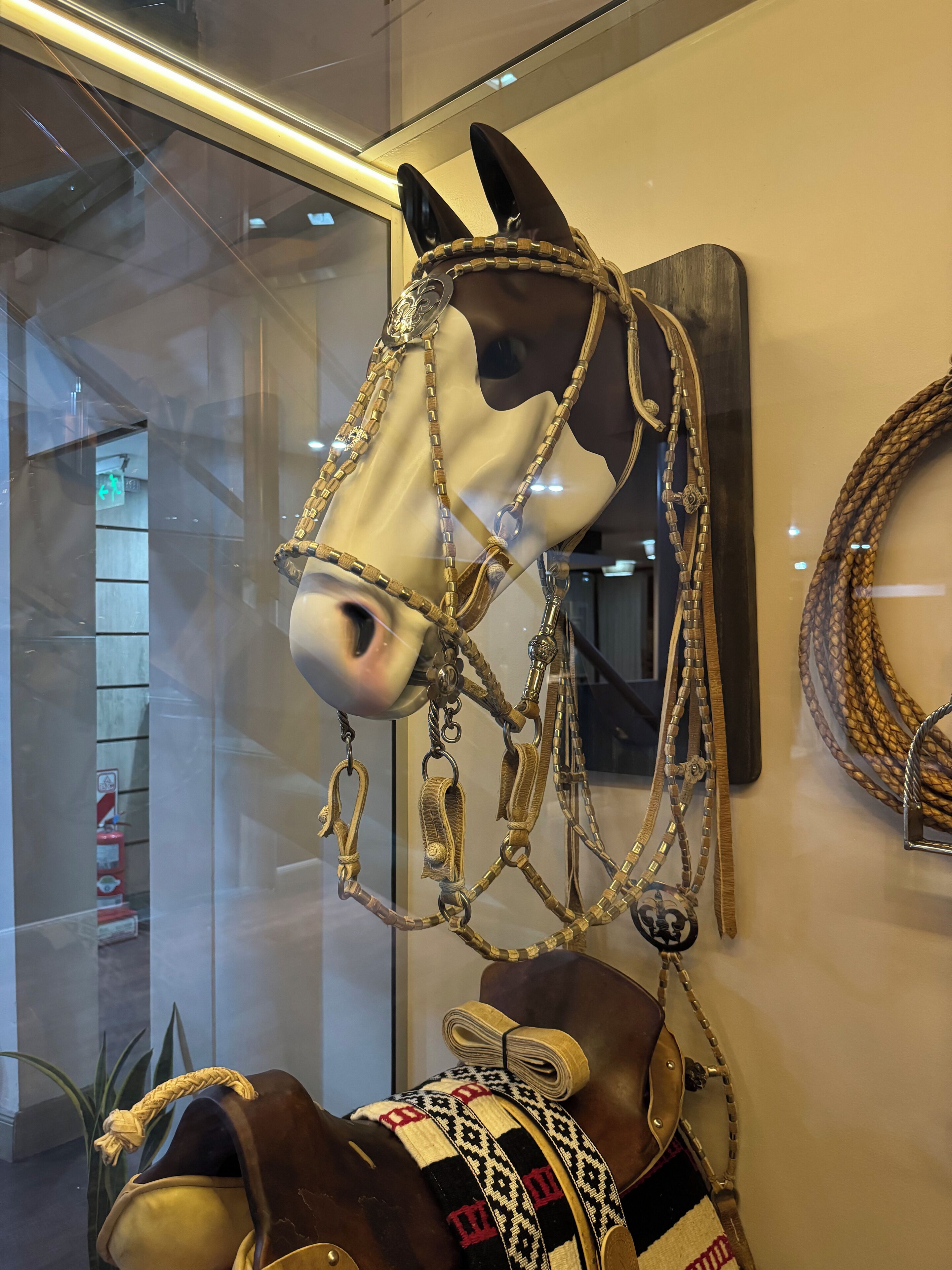 Foto - Hotel Facon Grande