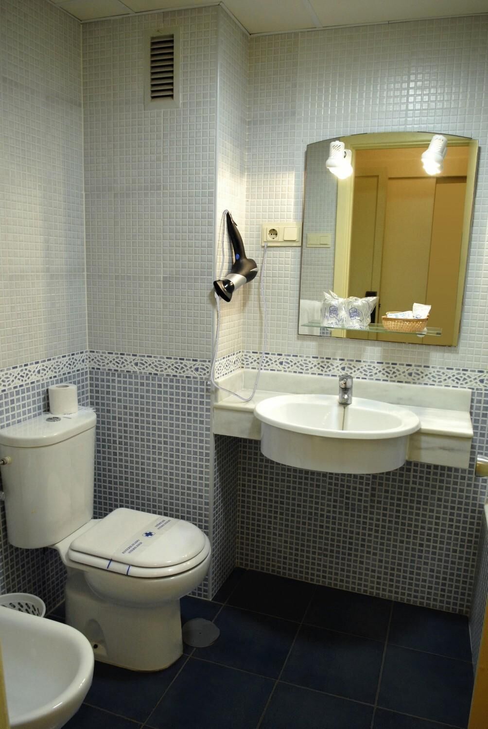 bathtub, free toiletries, hair dryer, bidet