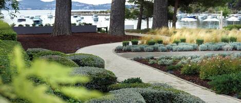 A landscaped garden with a paved walkway, neatly trimmed bushes, and tall trees.