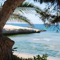 Beach nearby, sun-loungers, beach umbrellas, snorkelling