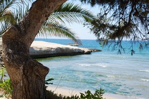 Une scène de plage avec un tronc d’arbre et une passerelle en bois menant à l’eau.