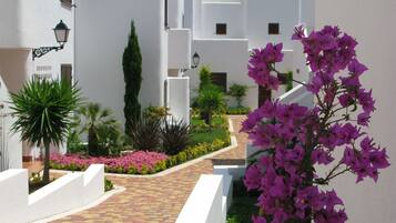 Detalle interior