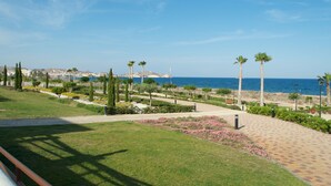 Un jardin aménagé avec un sentier menant à la mer, des palmiers et des bâtiments situés au loin.