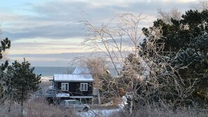 Eksteriør