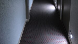 A long, narrow hallway with patterned carpet, doors on both sides, and a green exit sign on the ceiling. - Hôtel le Lyon Bron (Bron)