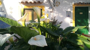 A courtyard with large green plants and white flowers, a tiled wall, and a green door. - Zagara di Sicilia (Marsala)