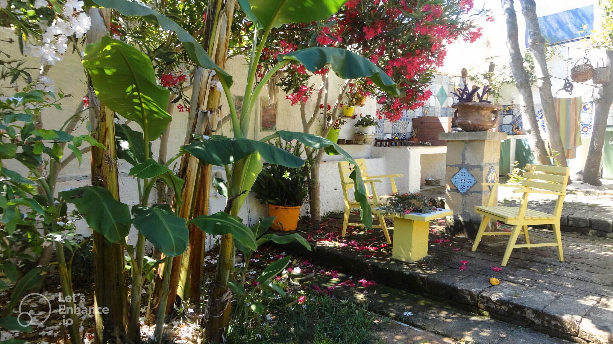 Un jardín con plantas en macetas, un banco y una pequeña mesa.