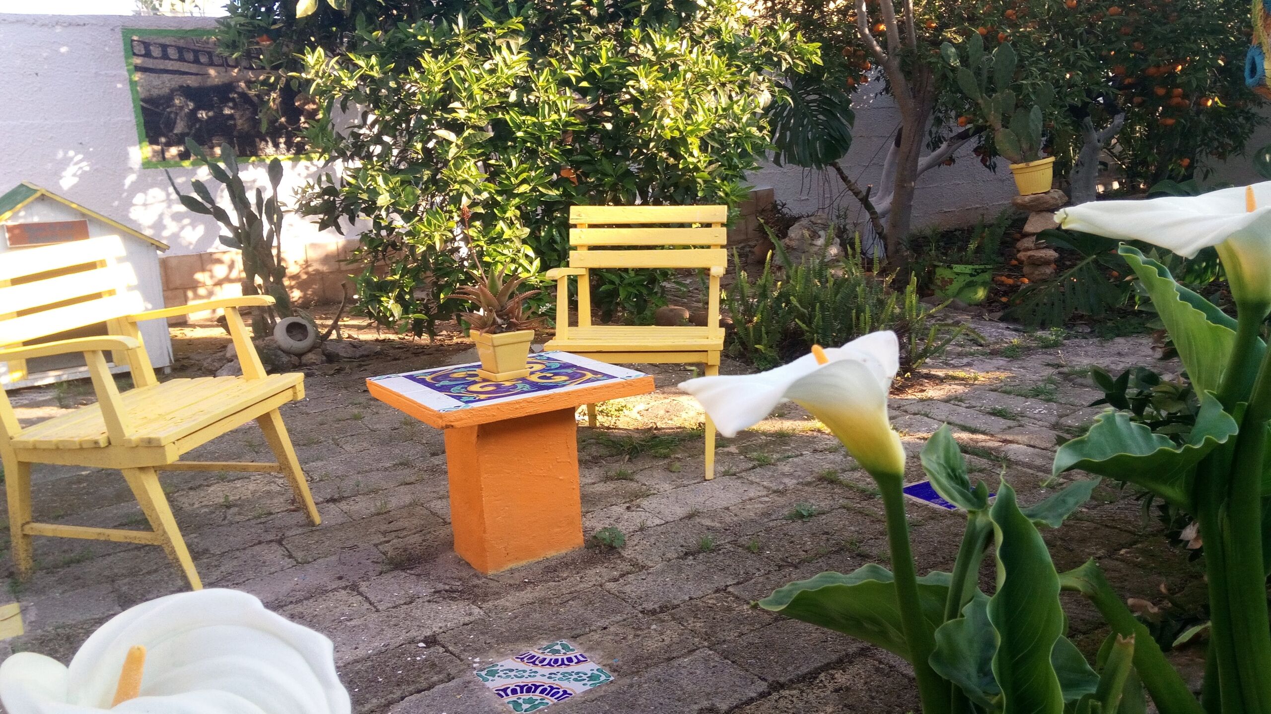 Un jardín con un banco amarillo, una mesa pequeña y una flor blanca.