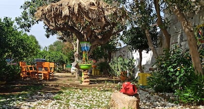 Zagara di Sicilia