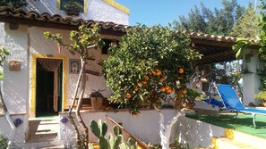 A house with a tiled roof, a cactus, and a tree with oranges. - Zagara di Sicilia (Marsala)