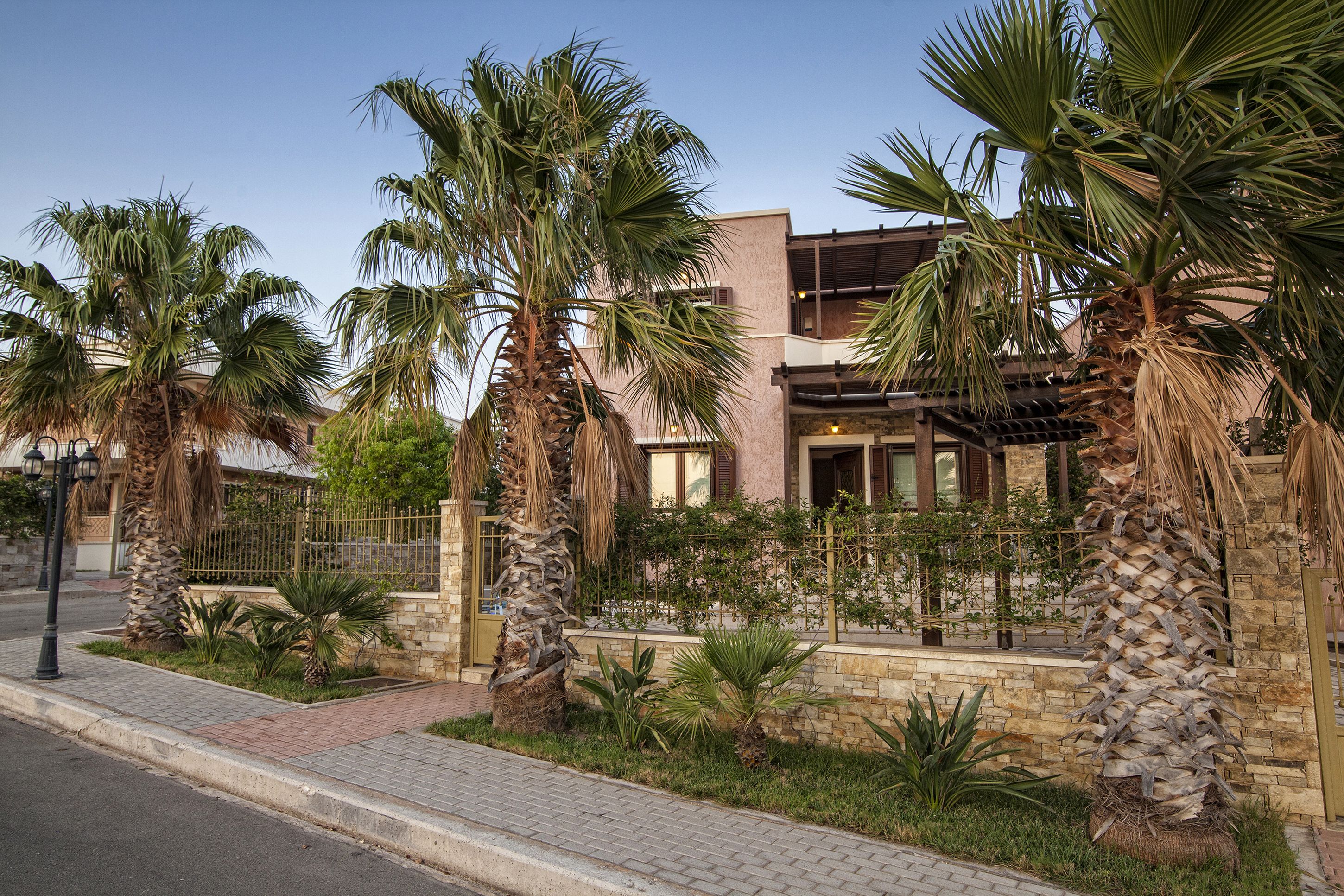 A modern building with a stone facade, palm trees, and a paved walkway.