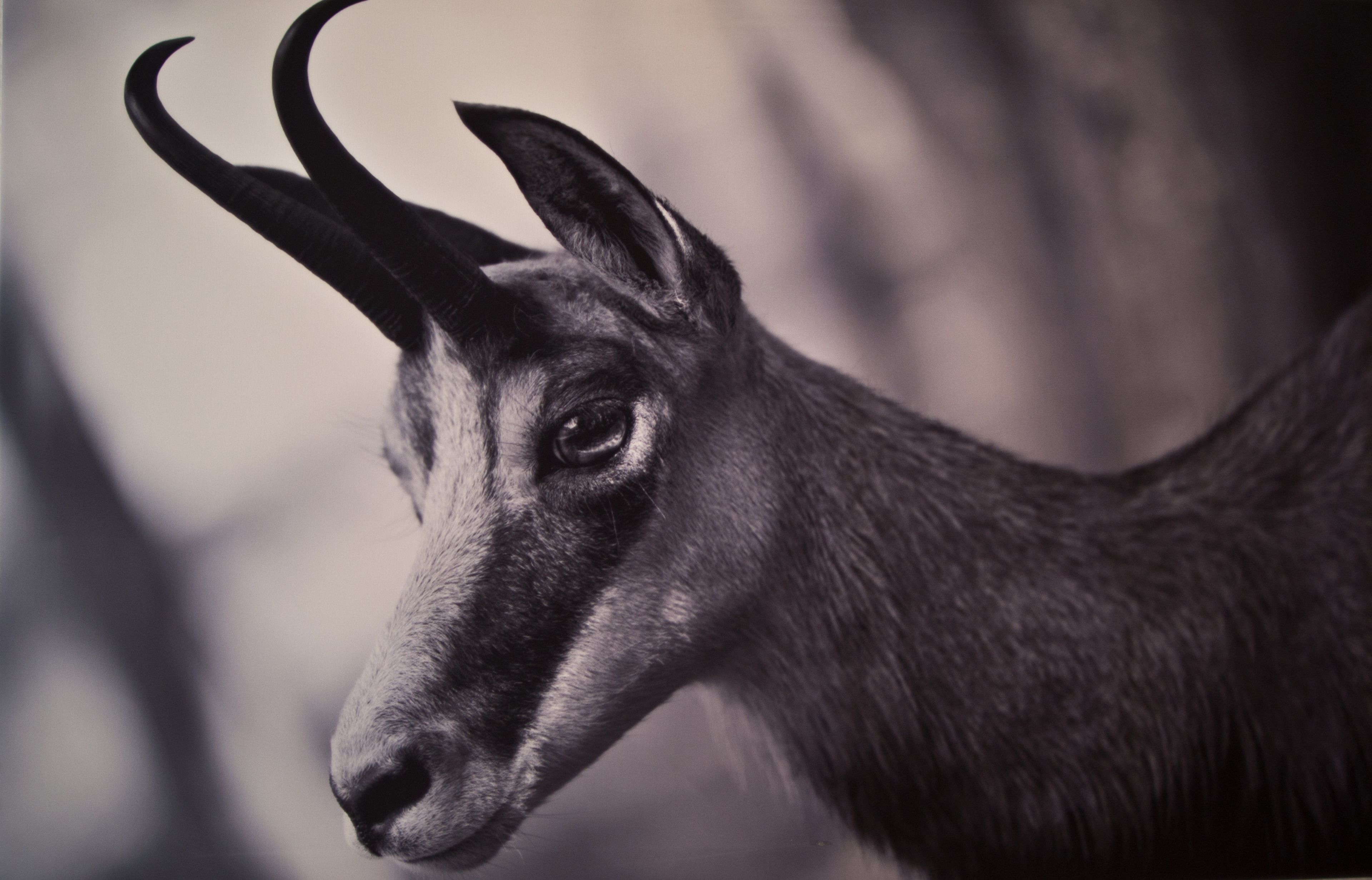 1 bedroom, in-room safe, desk, soundproofing