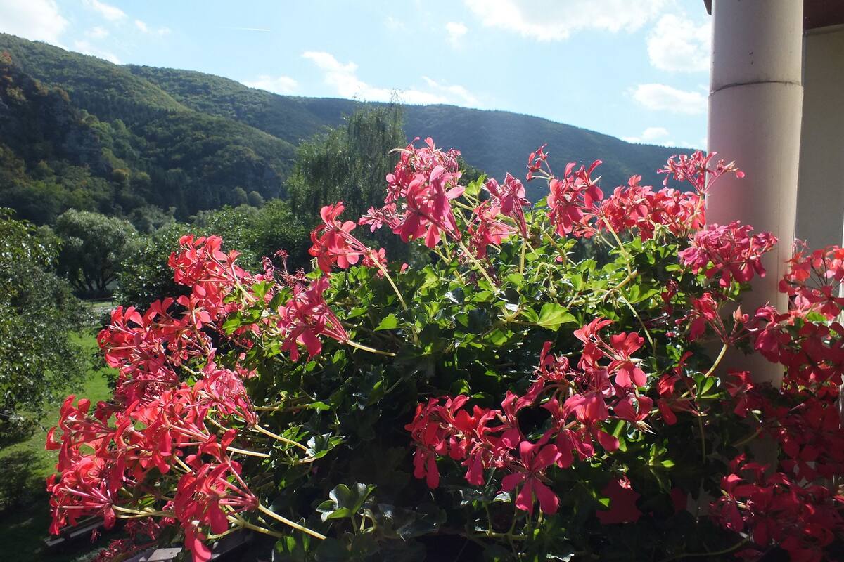 A balcony with a view of a lush green landscape and hills in the background.