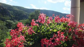 Double Room, Balcony | View from room