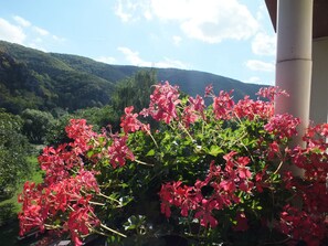 Double Room, Balcony | View from room