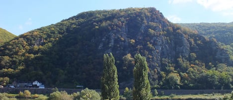 Ausblick vom Zimmer